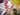 lego botanicals 40725 cherry blossom 430 piece set. shows a close up of the cherry blossoms in a vase.
