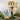 Lego Jurassic 76964 T. Rex Skull 577 piece set. Shows a close up of the T. Rex skull on a stand and claw print displayed on a table.