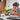 Lego Creator 31151 T-Rex. Shows a child playing with the fully built Lego T-Rex model.