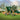Lego Creator 31151 T-Rex. Shows a close up of the fully built Triceratops model.