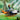 Lego City 60425 Jungle Explorer Water Plane. Shows a close up of the 2 minifigures on the jungle explorer plane.