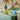 Lego Botanicals 10349 Happy Plants Toy Building Kit for Ages 9 and Up