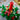 Lego Christmas 40743 Christmas Table Decoration Set for Ages 12 and Up