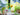 lego botanicals 40524 sunflowers 191 piece set. shows the fully built sunflowers sitting in a vase.