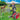 Playmobil Action Heroes 71467 Firefighter's Animal Rescue for Ages 4+