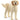Schleich Farm World 13939 Goldendoodle - CuriousMinds.co.uk