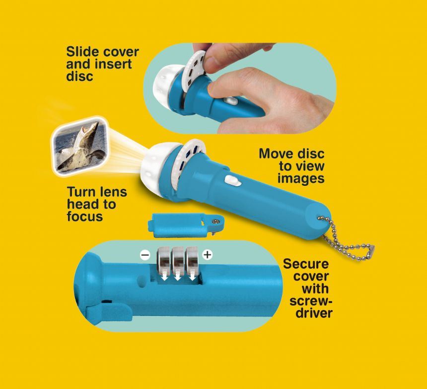 Shark Torch - Torch and Projector - CuriousMinds.co.uk