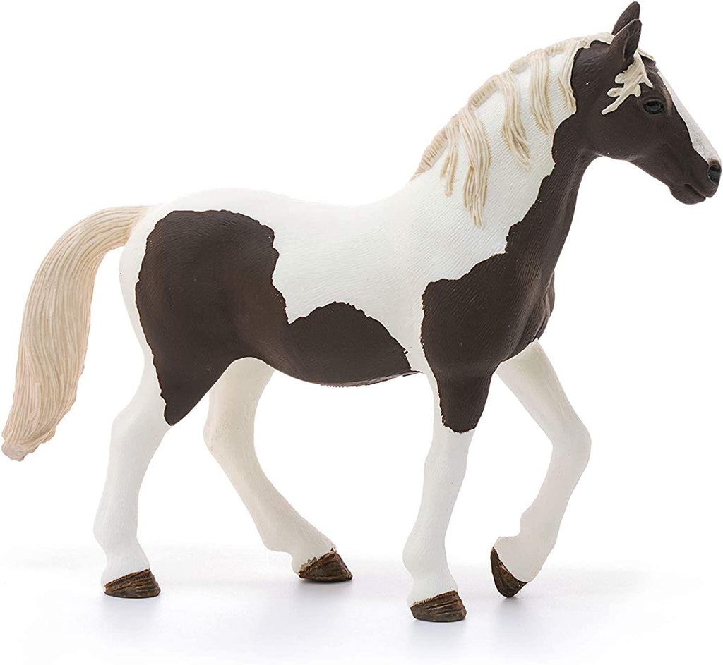 Schleich Pinto Mare - CuriousMinds.co.uk