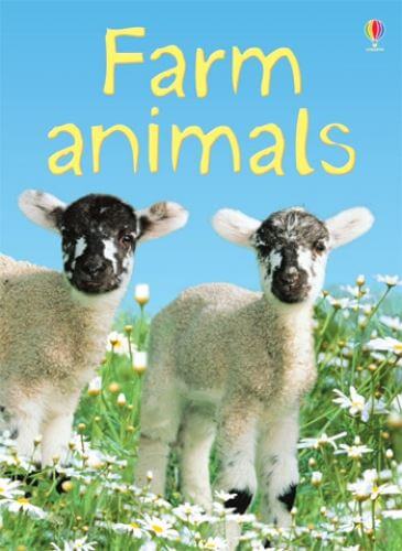 Beginners: Farm animals - CuriousMinds.co.uk