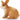 Schleich Rabbit - CuriousMinds.co.uk