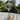Curious Minds Crooke's Solar Radiometer, Tall Amber Stem, Clear Globe - CuriousMinds.co.uk