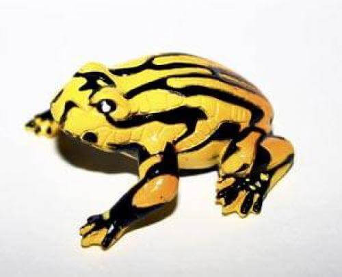 Corroboree Frog Figurine - CuriousMinds.co.uk
