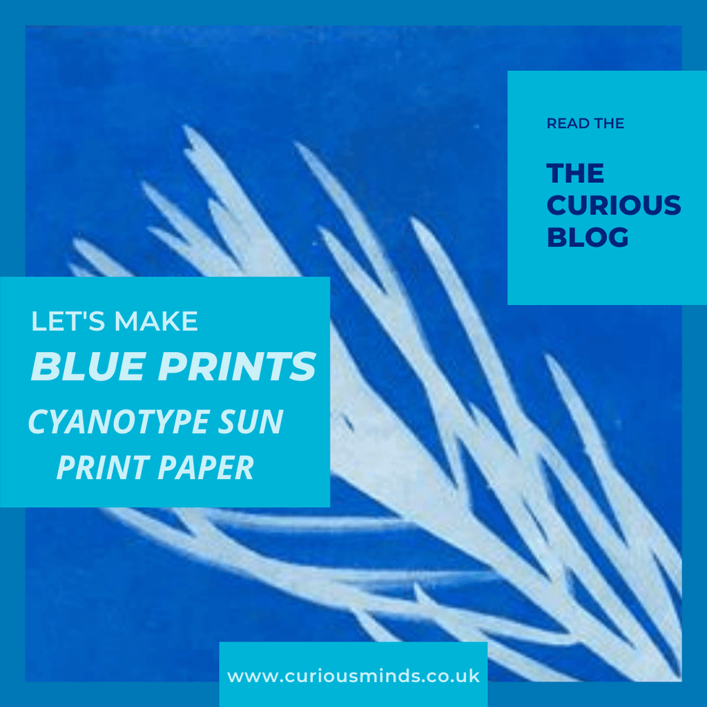 Give Us A Blue Print | CuriousMinds.co.uk