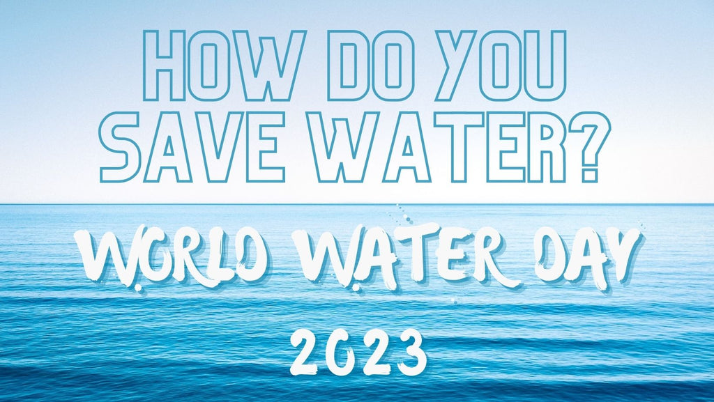 World Water Day - What Can You Do?