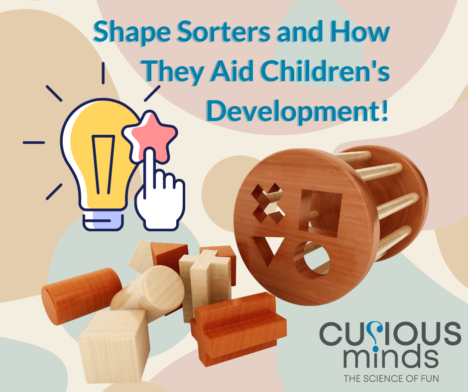 Shape Sorting Toys Help Child Development CuriousMinds