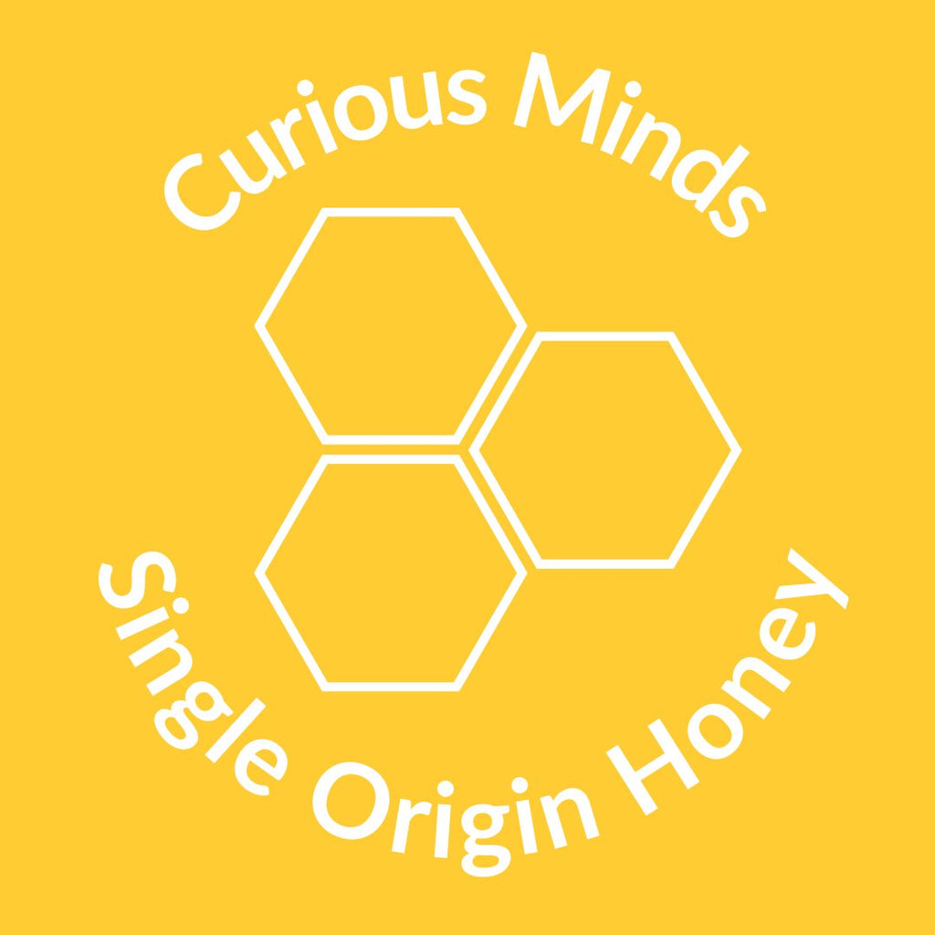 Honey & Bee | CuriousMinds.co.uk