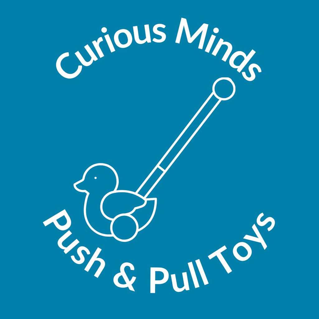 Push & Pull Toys | CuriousMinds.co.uk