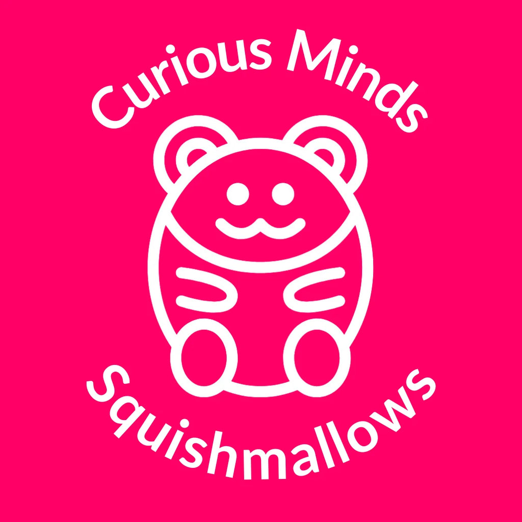 Squishmallows Plush Toys