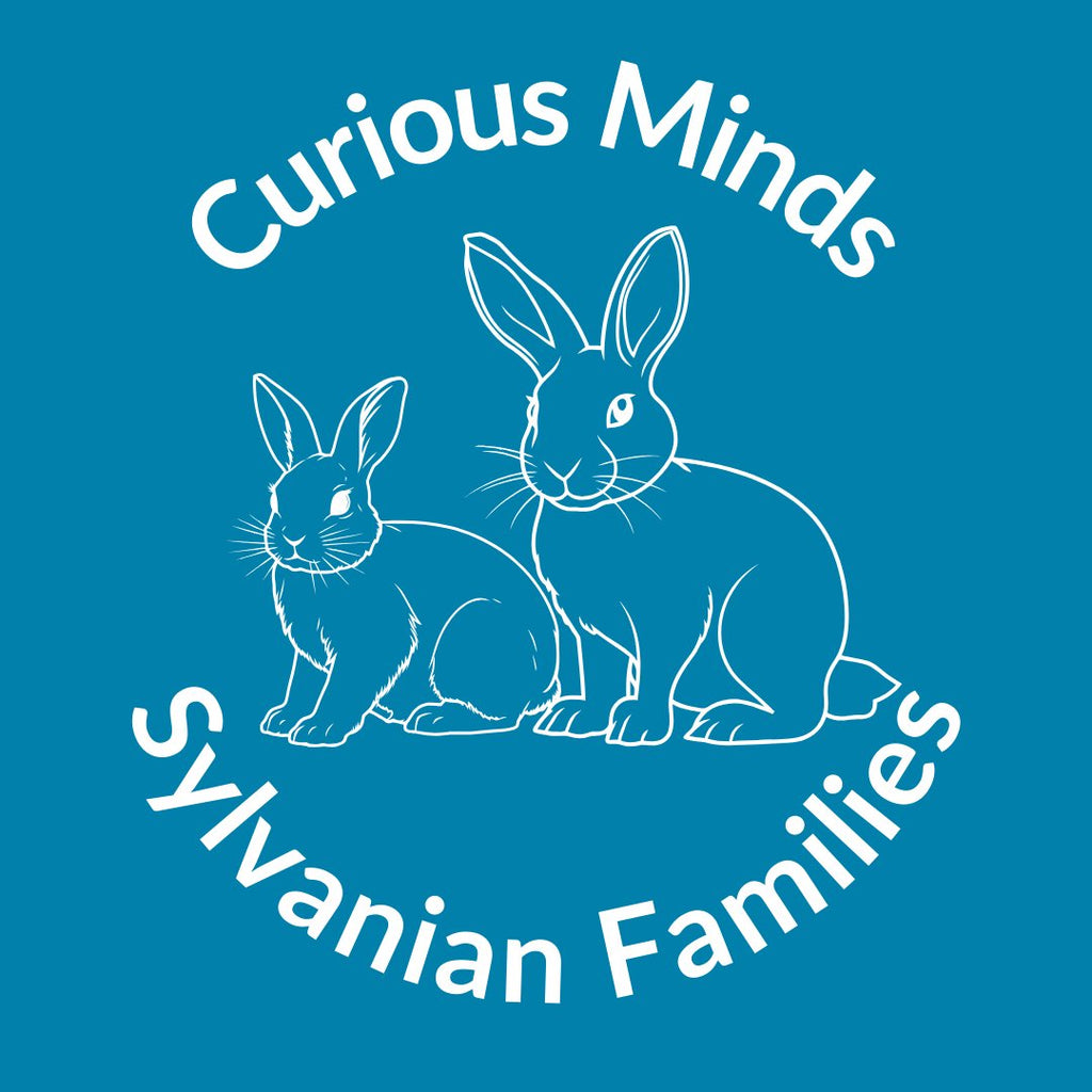 Sylvanian Families | CuriousMinds.co.uk