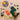 Lego Botanicals 11505 Woodland Mushrooms Decor Set for Adults Ages 18+