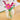 Lego Botanicals 11514 Cosmos Flowers Building Set for Ages 9 and Up