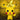 Pop! Vinyl Pikachu Funko Pop Collectible Pokemon Figure Ages 3+