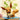 Lego Pokémon 72151 Eevee Figure Building Set for Adults Aged 18 and Up