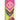Nebulous Stars Feather Quill Pen - Petulia (1)
