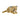 Keeleco Lion 25cm Cheetah Jungle Cat Wild Animal Soft Toy for All Ages