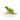 Schleich Wild Life 14882 European Tree Frog Figurine for Ages 3 to 8