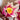 Lego Botanicals 11510 Magnolia Branches Flower Decor for Adults 18+