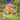 Sylvanian Families Fairy Mushroom House Toy Playset for Ages 3 and Up