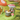 Sylvanian Families Fairy Mushroom House Toy Playset for Ages 3 and Up