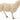 Schleich Sheep - CuriousMinds.co.uk