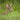 Brainstorm Outdoor Adventure Binoculars - CuriousMinds.co.uk