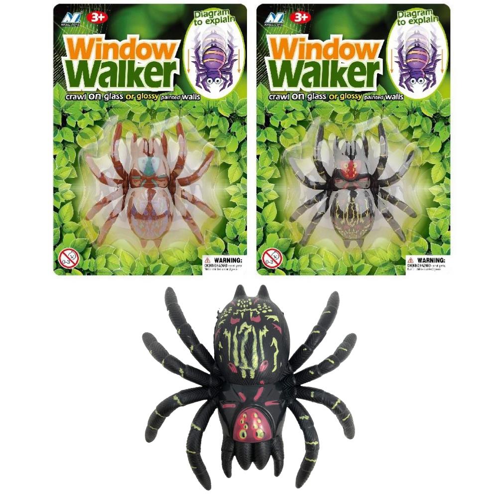 Window Walking Spider - CuriousMinds.co.uk