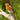 Brainstorm Outdoor Adventure Binoculars - CuriousMinds.co.uk