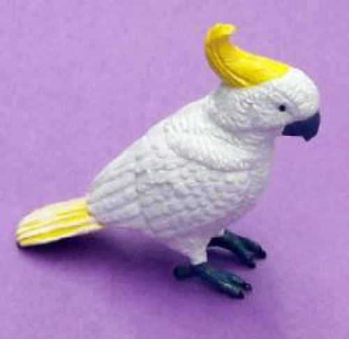 Sulphur Crested Cockatoo - CuriousMinds.co.uk
