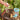 My Living World Nick Baker's Bug Safari - CuriousMinds.co.uk