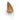 Mining Mike's Genuine Mosasaur Tooth - CuriousMinds.co.uk