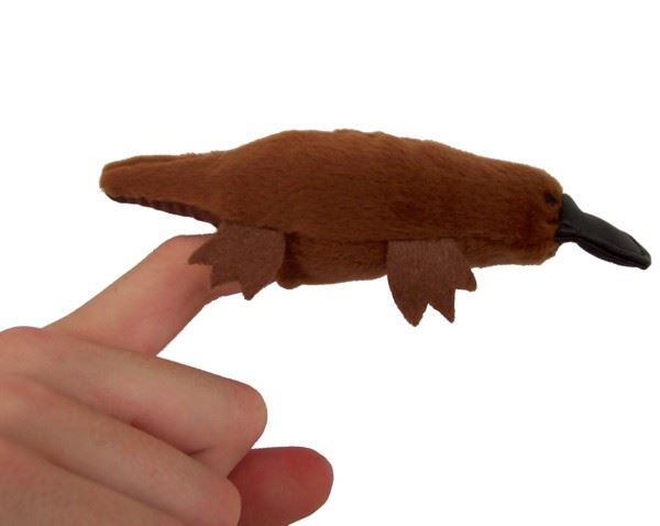 Platypus Finger Puppet - CuriousMinds.co.uk