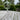 Curious Minds Crooke's Solar Radiometer, Tall Clear Stem, Green Globe - CuriousMinds.co.uk