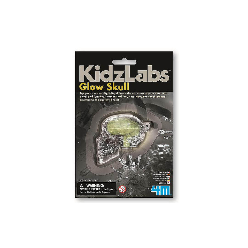 Kidz Labs Glow Skull - CuriousMinds.co.uk