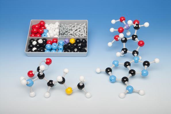 Biochemistry Student Molecular Model Set - CuriousMinds.co.uk