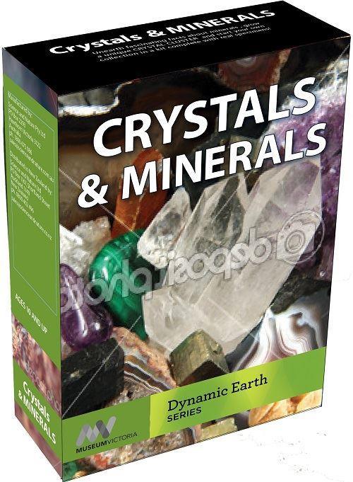 Crystals & Minerals Kit - CuriousMinds.co.uk